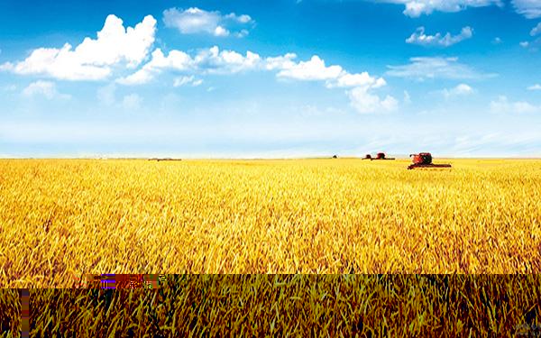 精準農業管理平臺